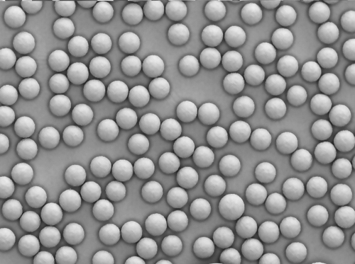 Polyacrylic acid